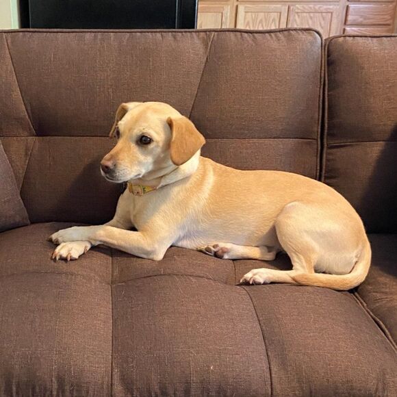 HALF OFF ANYTHING IN MY CLOSET!! JUST BUY AT LEAST 2 ITEMS AND MAKE ME AN OFFER - Picture 4 of 13